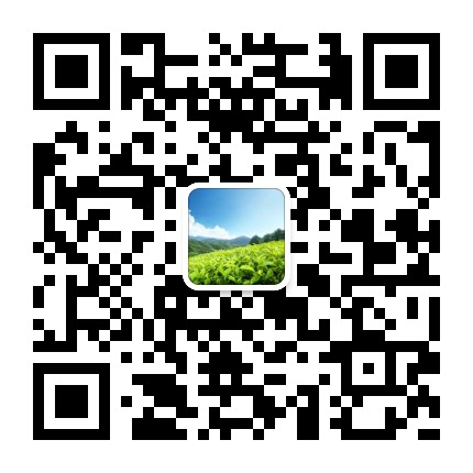 黎平桂花台茶旅体验园