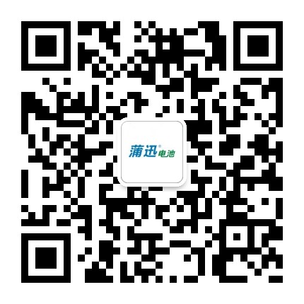 深圳市蒲迅电池有限公司