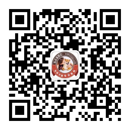 广州纯种宠物狗繁殖基地