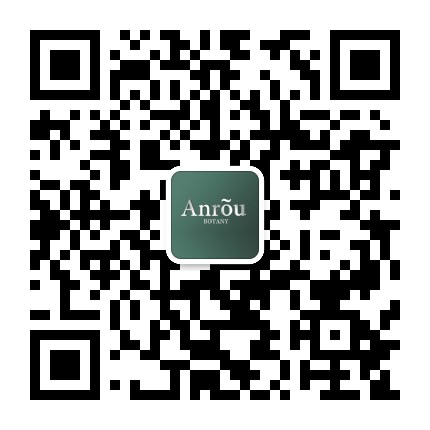 安茹官方微信公众号