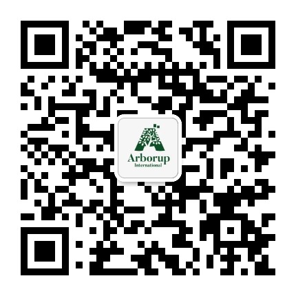汉华乔木国际教育公众号二维码