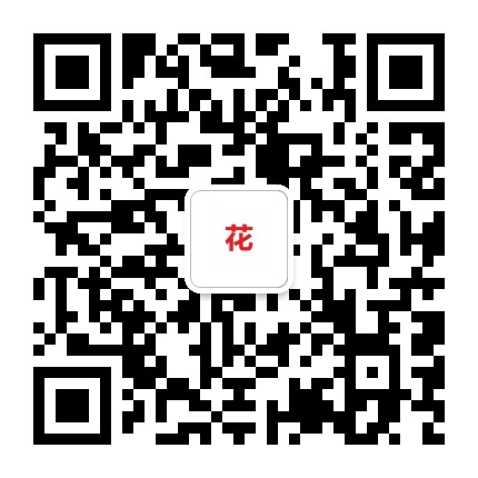 民航一枝花
