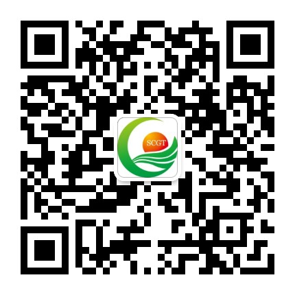 A上海春光旅游公众号二维码