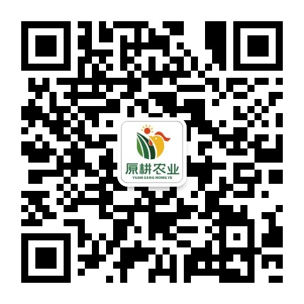 原耕良仓官方微信公众号