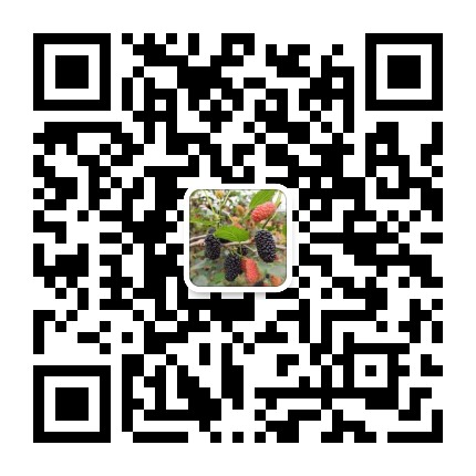 春意田园公众号二维码