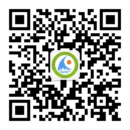 桂林市桥头小学公众号二维码