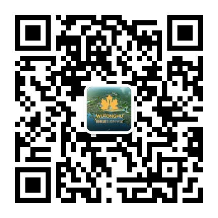 湖北鄂州梧桐湖公众号二维码