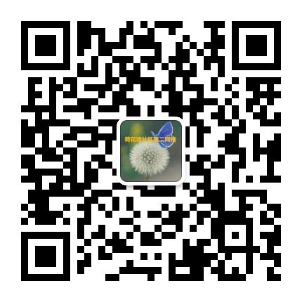 荷花池社区第二网格公众号二维码