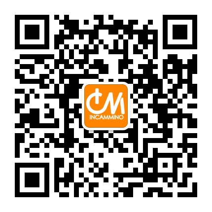 意卡米诺商城官方微信公众号
