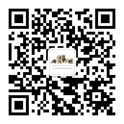 ICVS北京新天地国际动物医院公众号二维码