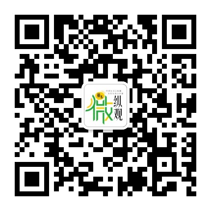 楠木微纵观公众号二维码