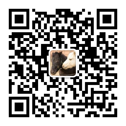 IPONY骑域马术公众号二维码
