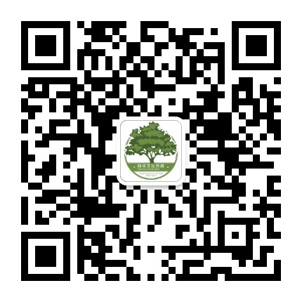桐华文化传媒公众号二维码