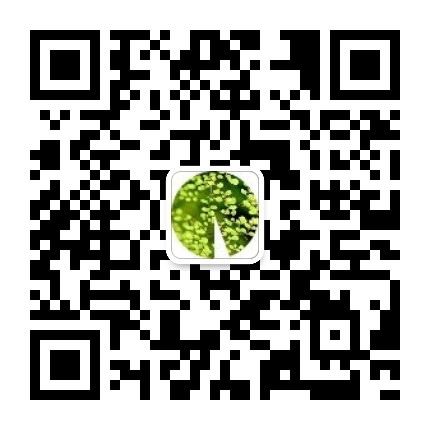 四棵树公众号二维码