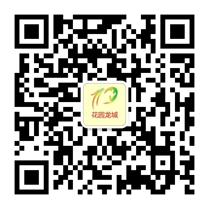 花园龙城公众号二维码