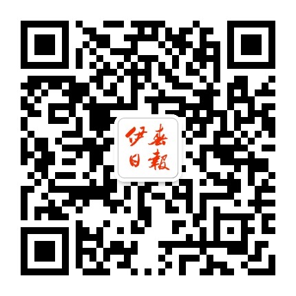 掌上林城公众号二维码