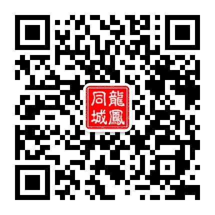 龙凤同城公众号二维码