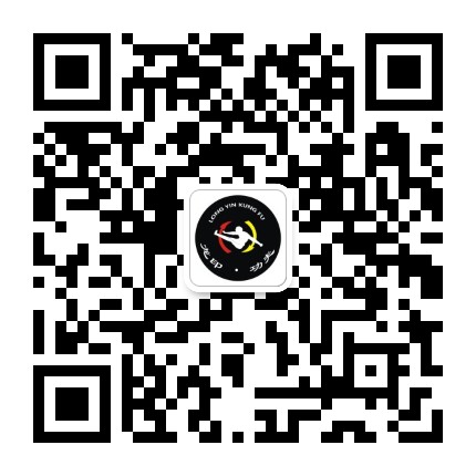 龙印功夫公众号二维码