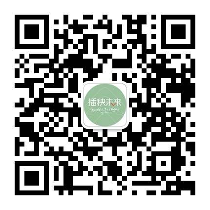插秧未来国际官方微信公众号