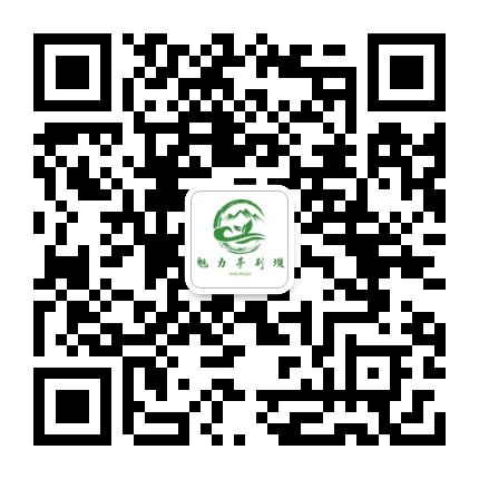 魅力茅荆坝公众号二维码