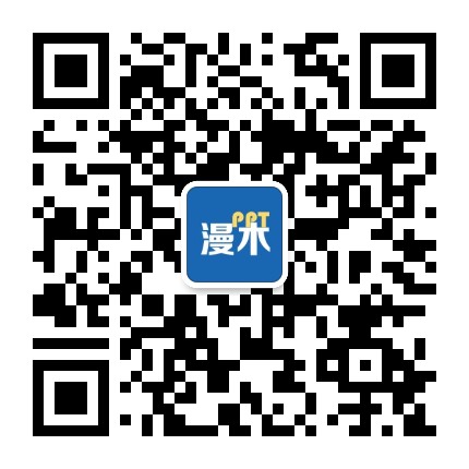 漫木PPT