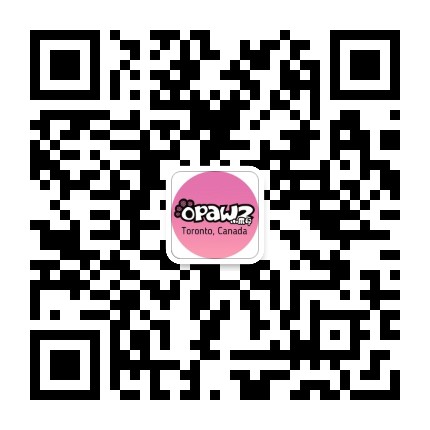 opawz官方微信公众号