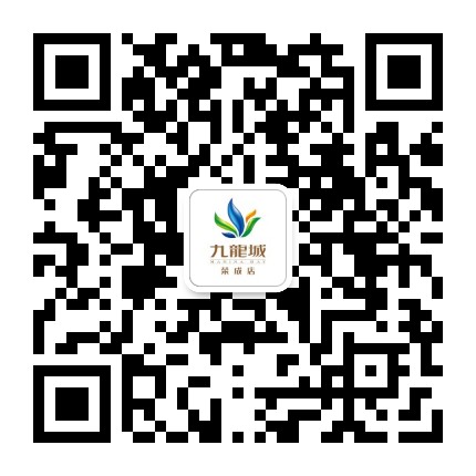 荣成九龙城购物广场公众号二维码