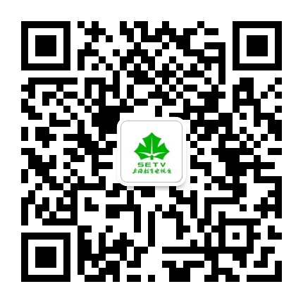 上海教育电视台公众号二维码
