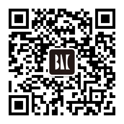 外滩艺术中心,Bund Art Center