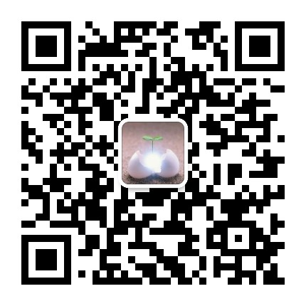 生命的光华公众号二维码