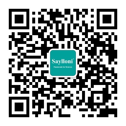 Saylloni赛洛尼公众号二维码