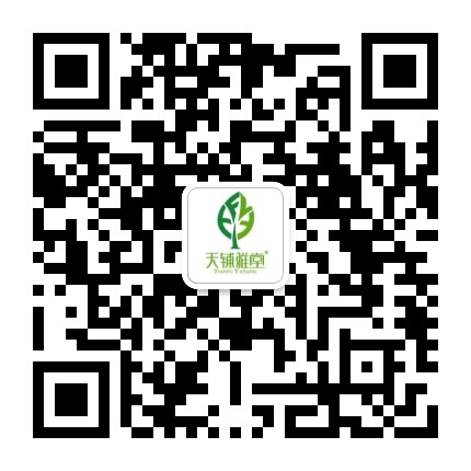 斯里兰卡红茶公众号二维码
