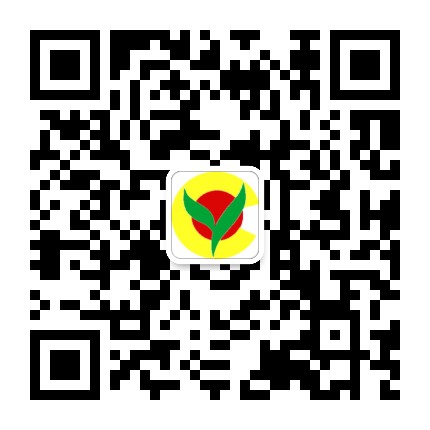 泰顺县育才高级中学公众号二维码