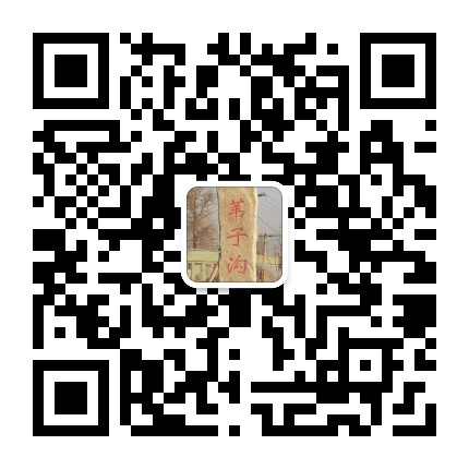 九台区苇子沟街道公众号二维码