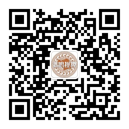 武鸣视界公众号二维码