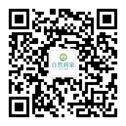 安溪头牌美食公众号二维码