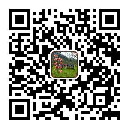 魅力板场公众号二维码