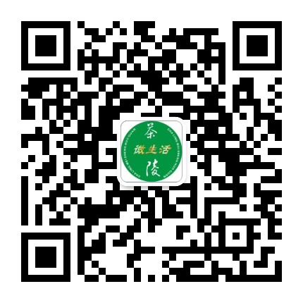 茶陵微生活圈公众号二维码