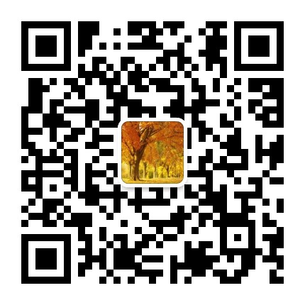 成华枫景社区青年公众号二维码