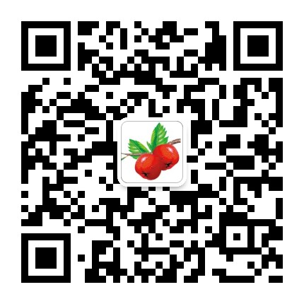 cnBeta中文业界资讯微信公众号,cnBeta中文业界资讯微信