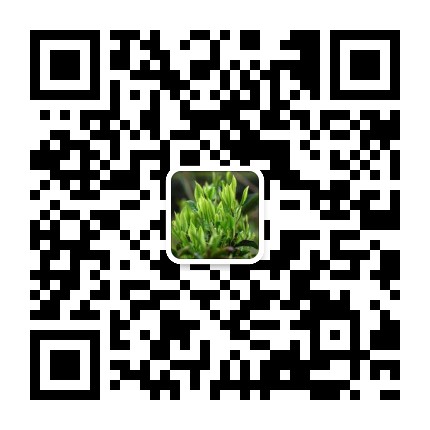 六堡茶小镇公众号二维码