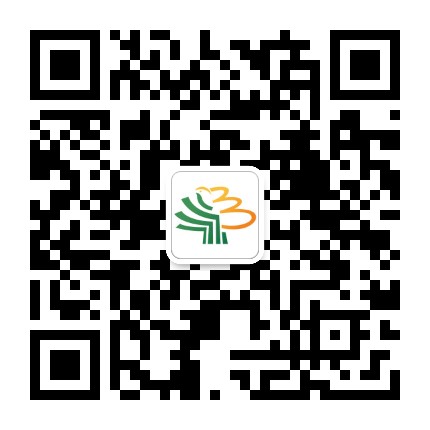 大树集团公众号二维码