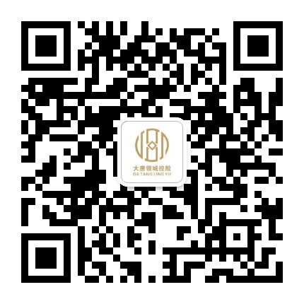 大唐领域控股公众号二维码
