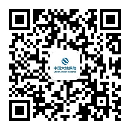 中国大地保险