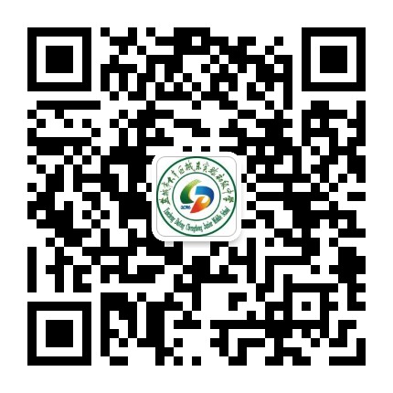 大丰城东实验初中公众号二维码