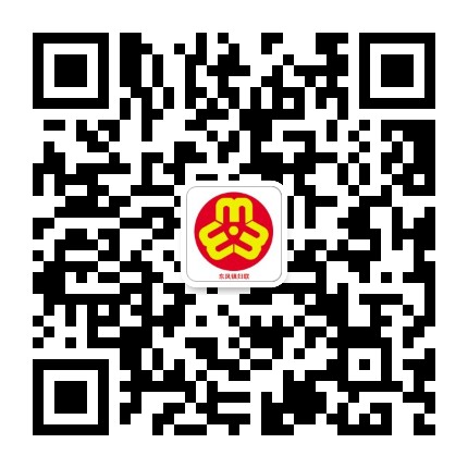 东凤镇妇联公众号二维码