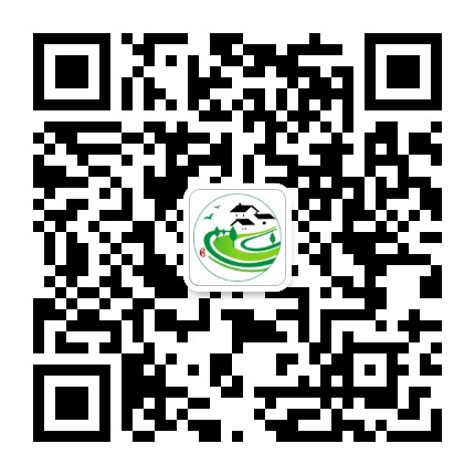大丰美丽乡村公众号二维码