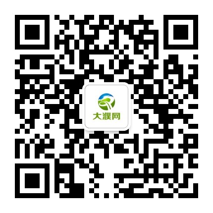 大濮网台前站公众号二维码