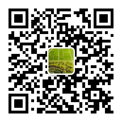稻香渔山公众号二维码