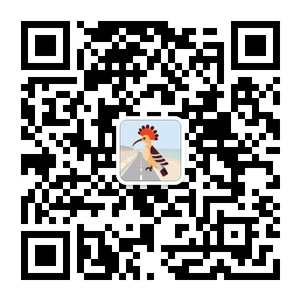 探秘以色列公众号二维码